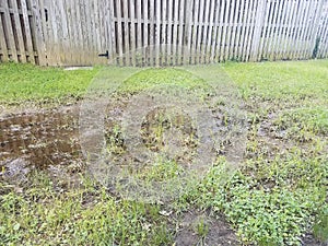 Mud puddle and dead grass and green grass near wood fence