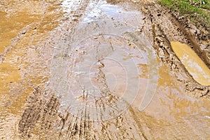 Mud and puddle at dirt road