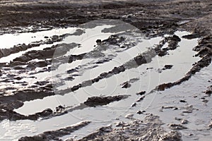 Mud puddle on a dirt road