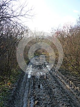 Mud and puddles on the dirt road.