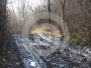 Mud and puddles on the dirt road.