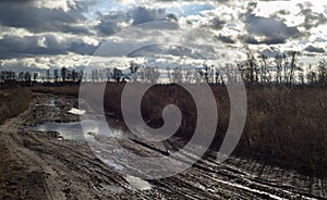 Mud and puddles on the dirt road near Kyiv