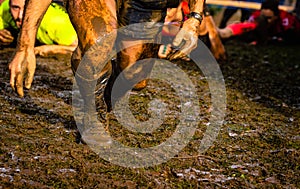 Mud race runners passing under a barbed wire obstacles during extreme obstacle race.