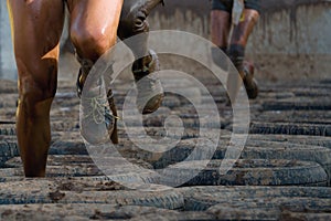 Mud race runners