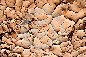 Mud in a riverbed, cracked and dry