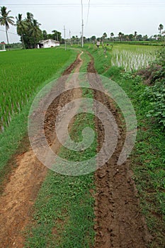 Mud Rural Road Way Through Fields
