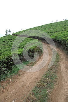 Mud Rural Road Way Through Fields