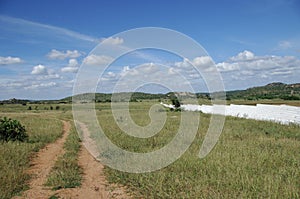 Mud Rural Road Way Through Fields