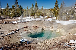 Mud Spring at Norris Geyser Basin trail area, during winter in Yellowstone National Park, Wyoming