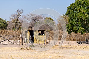 Mud straw and wooden hut with thatched roof in the bush. Local village in the rural Caprivi Strip, the most populated region in Na photo