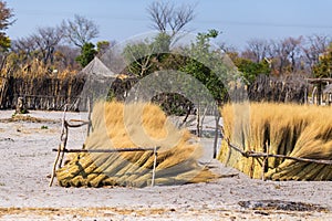 Mud straw and wooden hut with thatched roof in the bush. Local village in the rural Caprivi Strip, the most populated region in Na