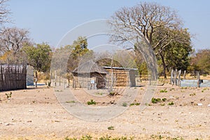 Mud straw and wooden hut with thatched roof in the bush. Local village in the rural Caprivi Strip, the most populated region in Na