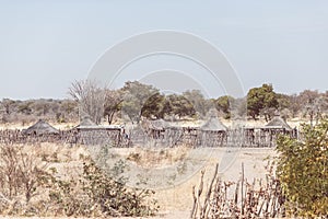 Mud straw and wooden hut with thatched roof in the bush. Local village in the rural Caprivi Strip, the most populated region in Na