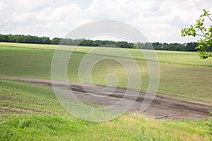 Mud streams after a heavy rain on a cornfield that destroyed part of the crop area of risk farming concept