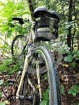 Mud stripe on back of bicycle in woods