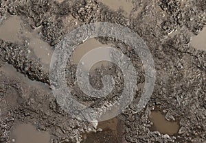 Mud Texture