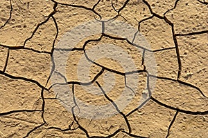 Mud texture of dry crack on the ground in drought season