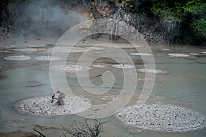 Mud texture or wet dark soil as natural organic clay and geological sediment mixture. Boiling hot mud in Waitapu, North