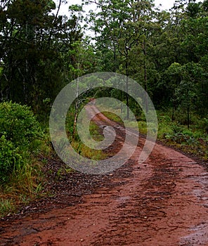 Mud Track photo