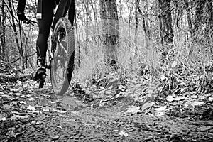 Mud tracks on a mountain bike trail in black and white
