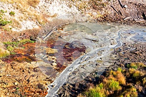 Mud Volcano Area Bacteria Mat