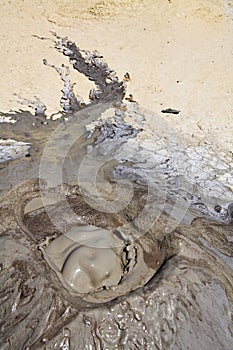 Mud volcano bubble