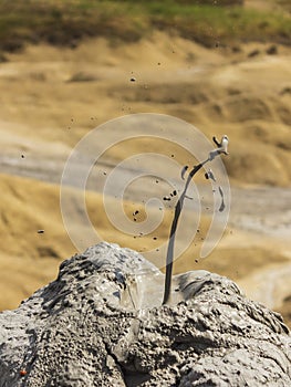 Mud Volcano - Buzau county - Romania