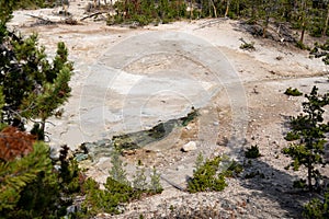 Mud Volcano and Sulfur cauldron are mud pots and fumaroles, in Yellowstone National Park Wyoming - landscape of the area