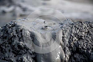 Mud volcanoes