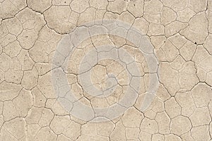 Desert Mudcracks On Playa Surface