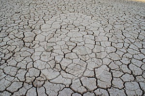 Mudcracks in a dry land