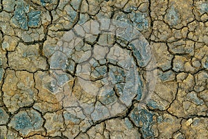 Mudcracks and soil drought