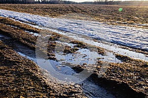 A muddy country road on the edge of the forest in early spring