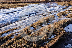 A muddy country road on the edge of the forest in early spring