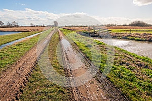Muddy country road with puddles in a polder landscape
