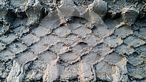 Muddy countryside road, tire mark