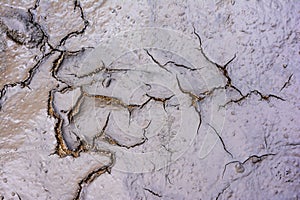 Muddy cracked texture background. Muddy cracked surface texture