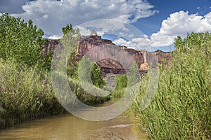 Muddy Creek near Reds Canyon in the San Rafael Swell of Utah USA