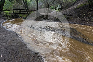 Muddy creek after storm and heavy rain, Rancho San Antonio county park, south San Francisco bay, California