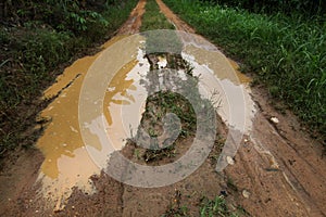 Muddy dirt road with puddles and tire tracks