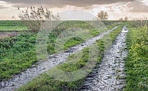 Muddy driveway to a dike