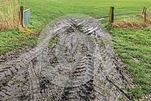 Muddy entrance to a pasture