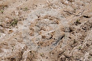 Muddy eroded degraded soil