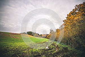 Muddy field with a puddle in the fall