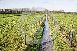 Muddy footpath in the Netherlands