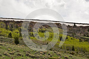 Muddy Mountain Spring in Wyoming