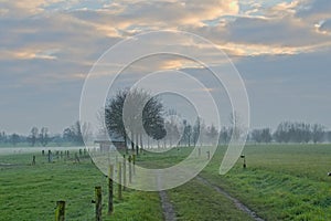 Dirt road through a misty landscape in the Flemish countryside photo