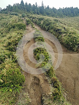 Muddy path on cidade lakes on the azores islands