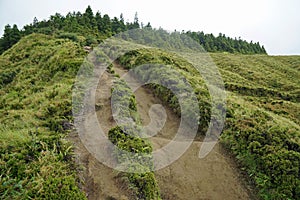 Muddy path on cidade lakes on the azores islands