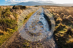 Muddy path in a moor in rural Scotland